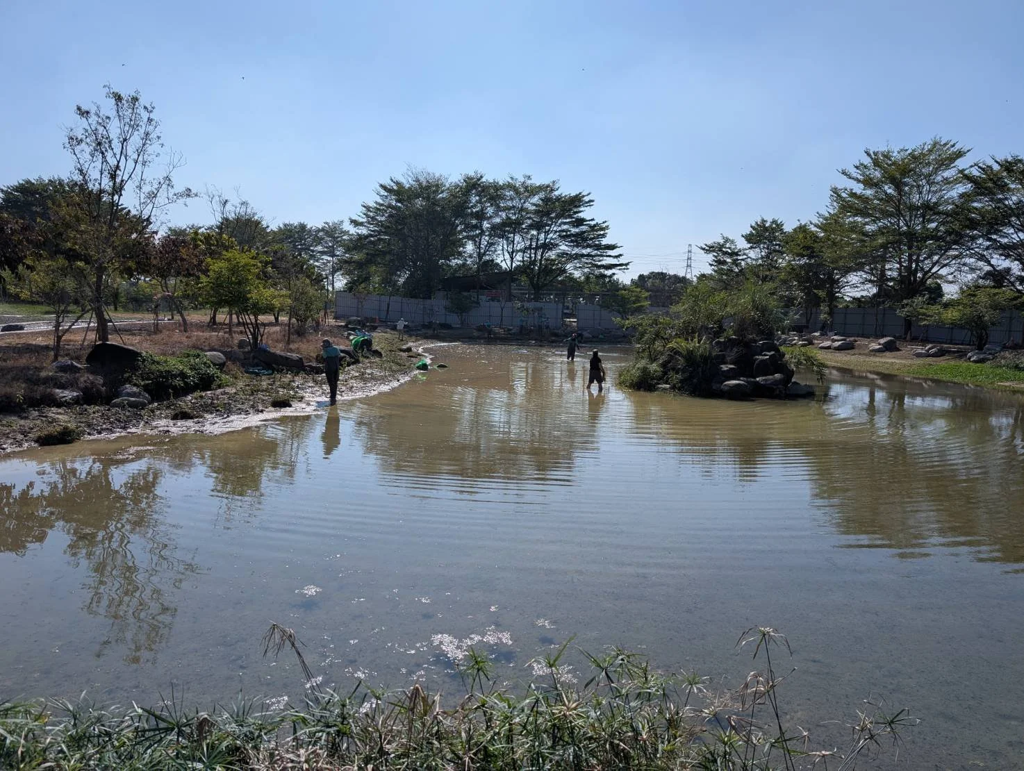 生態工作假期，在新埤公園營造青蛙的家.jpg