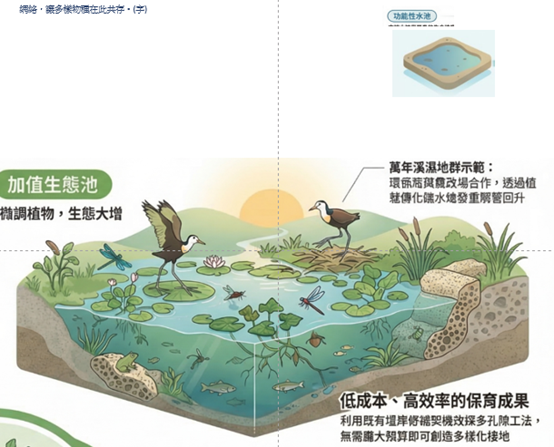 照顧人也照顧環境的綠色基礎設施
