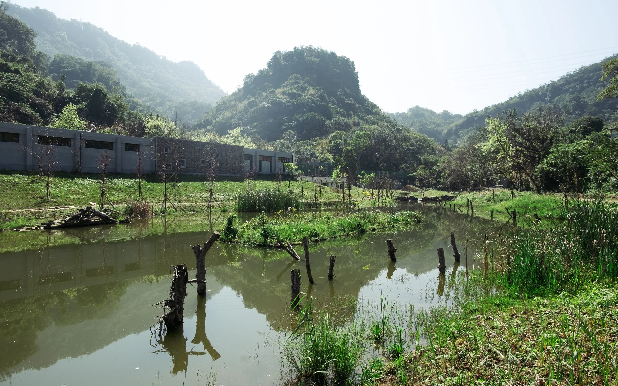 永春陂生態濕地公園