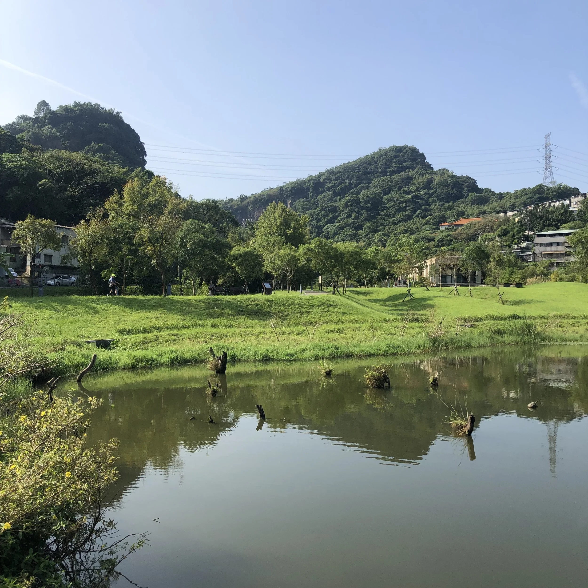 我的環境永續實踐反省