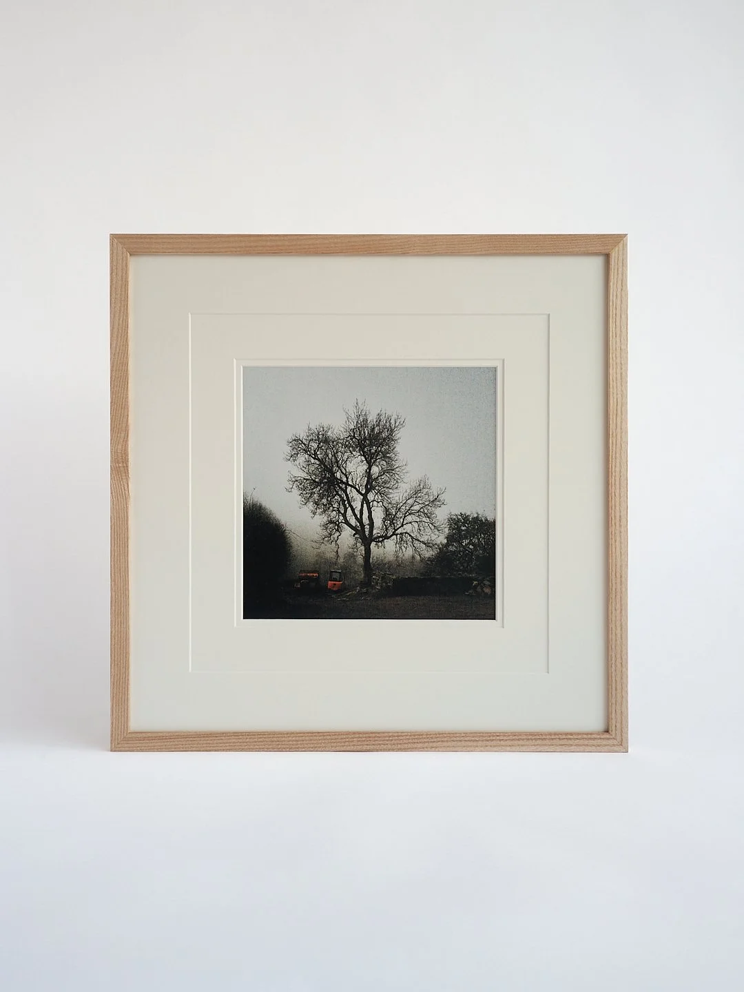 Ash tree under full moon framed in waxed ash with a triple mount.

🌳🌳🌳
