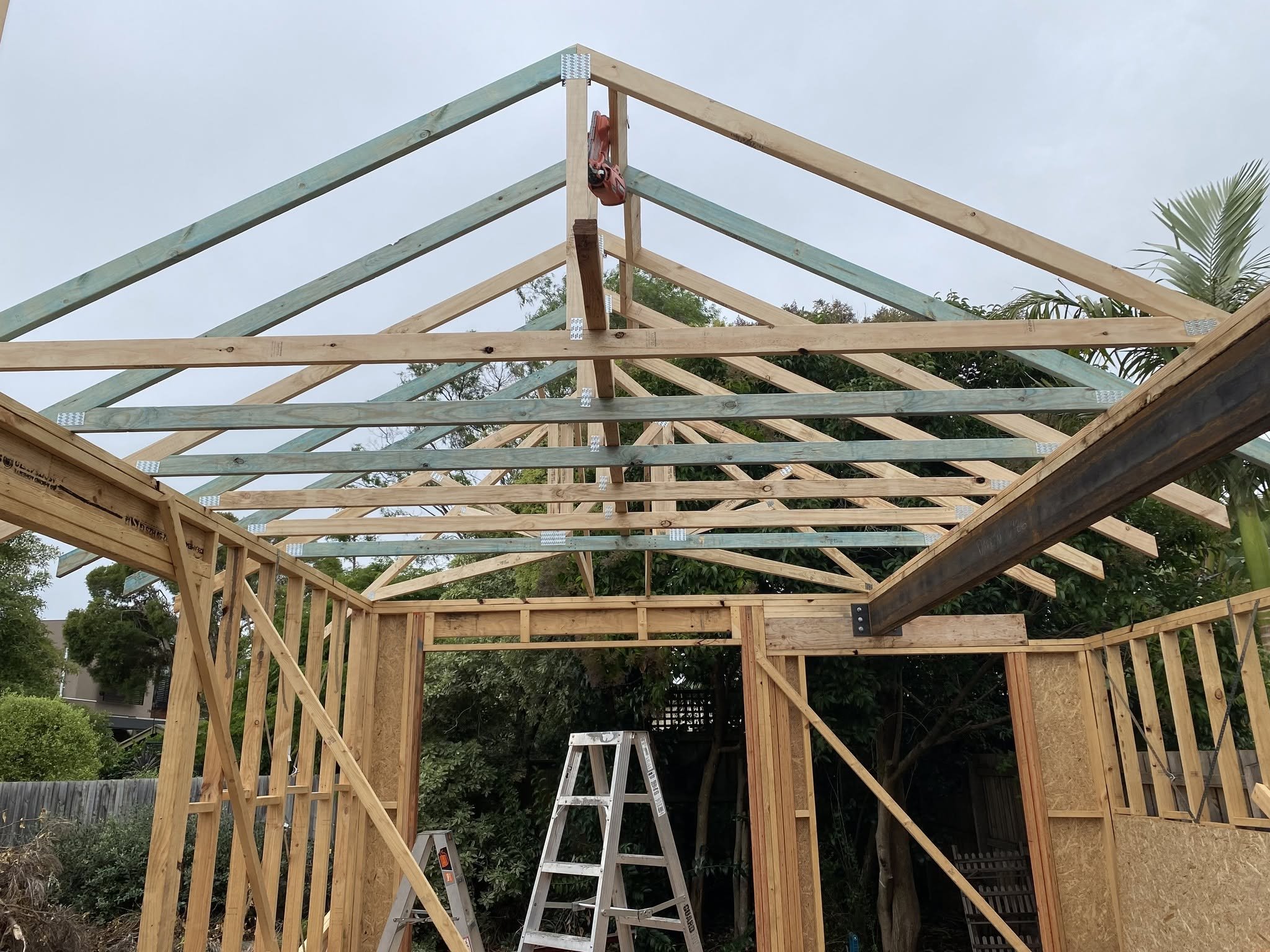 New roof trusses and timber wall framing for the McKinnon extension, viewed from inside