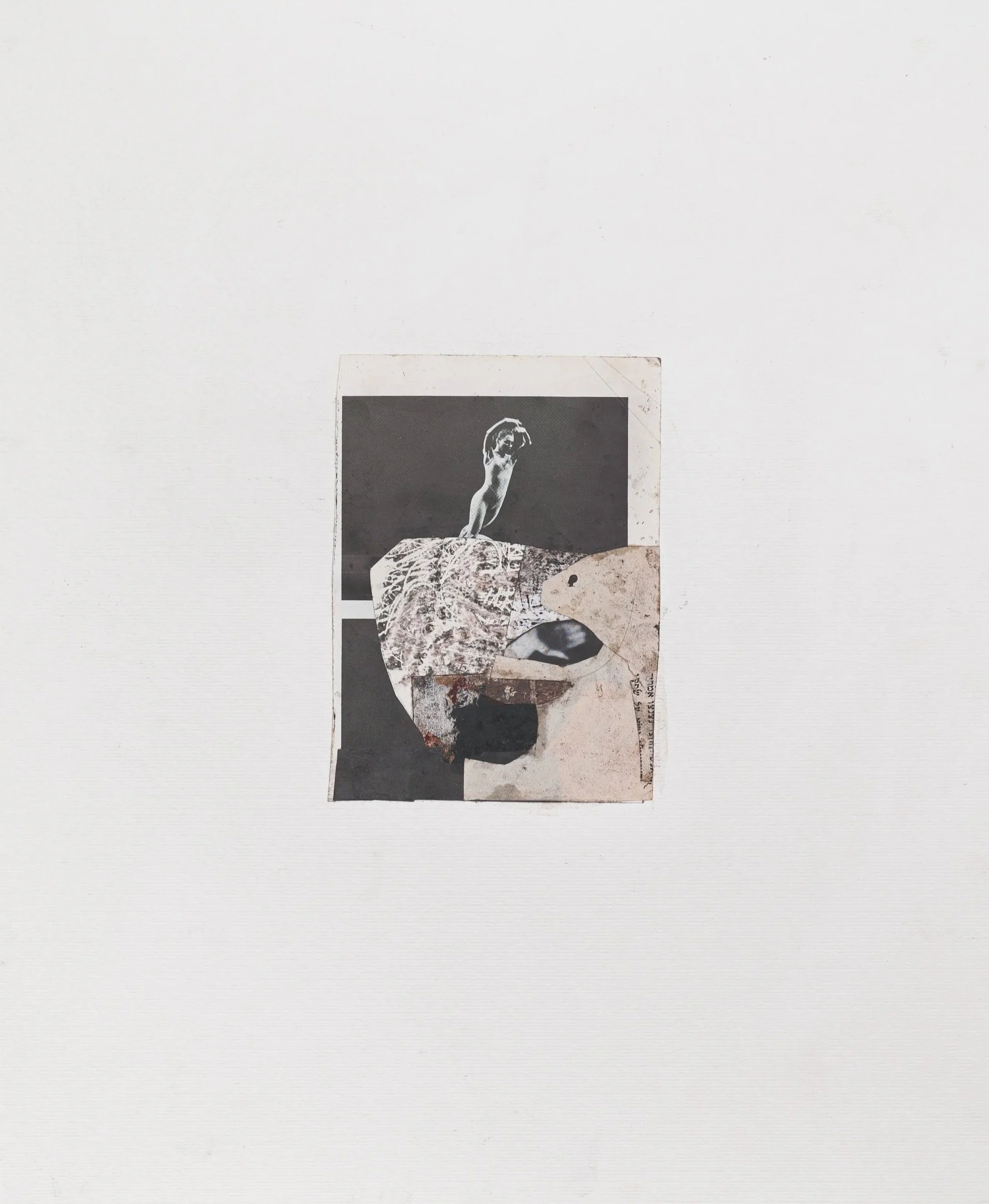 Collage5