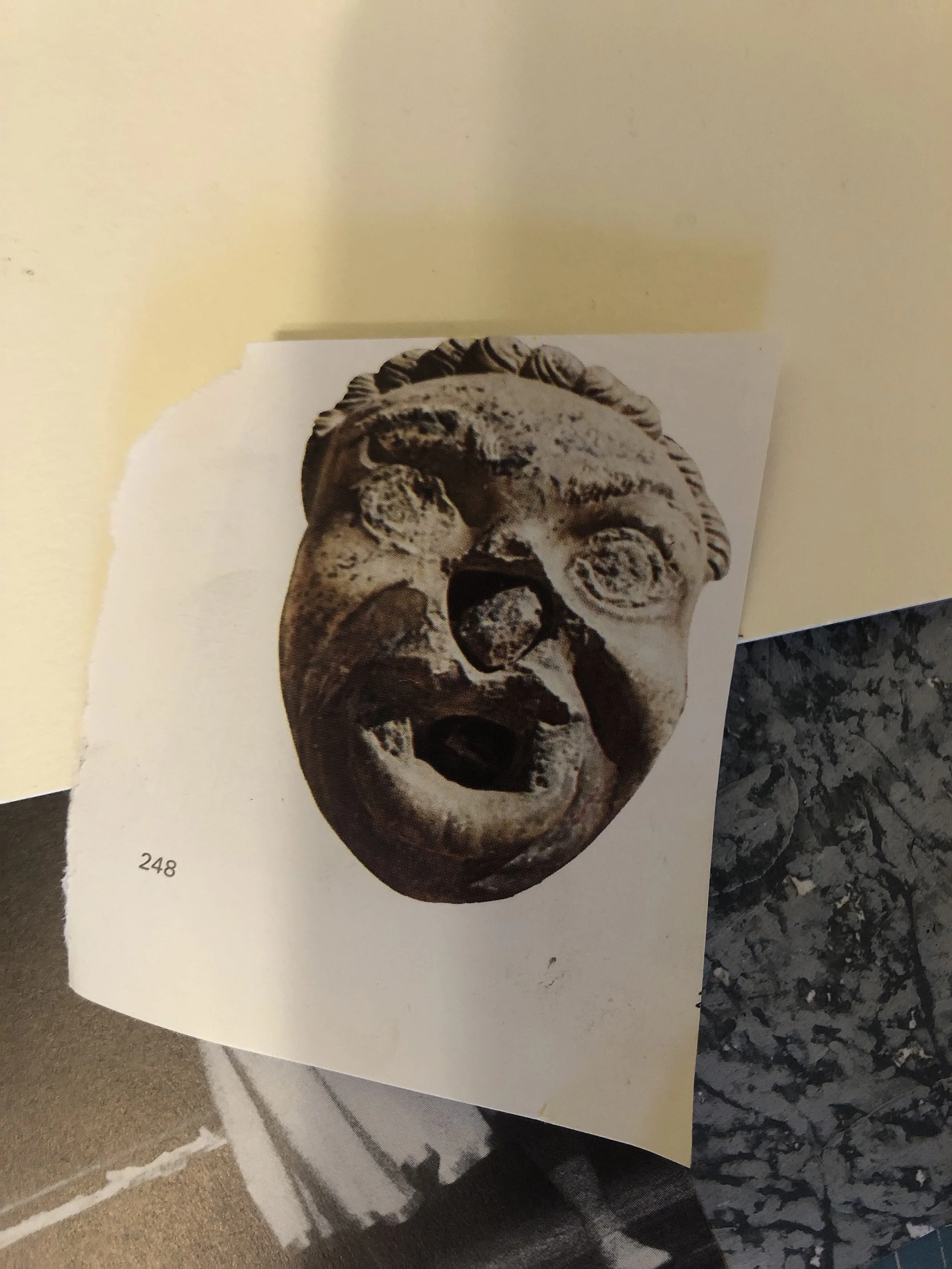 A close-up of a printed black and white photograph of a human skull, partially torn from a paper sheet labeled with the number 248, placed on a dark speckled countertop.