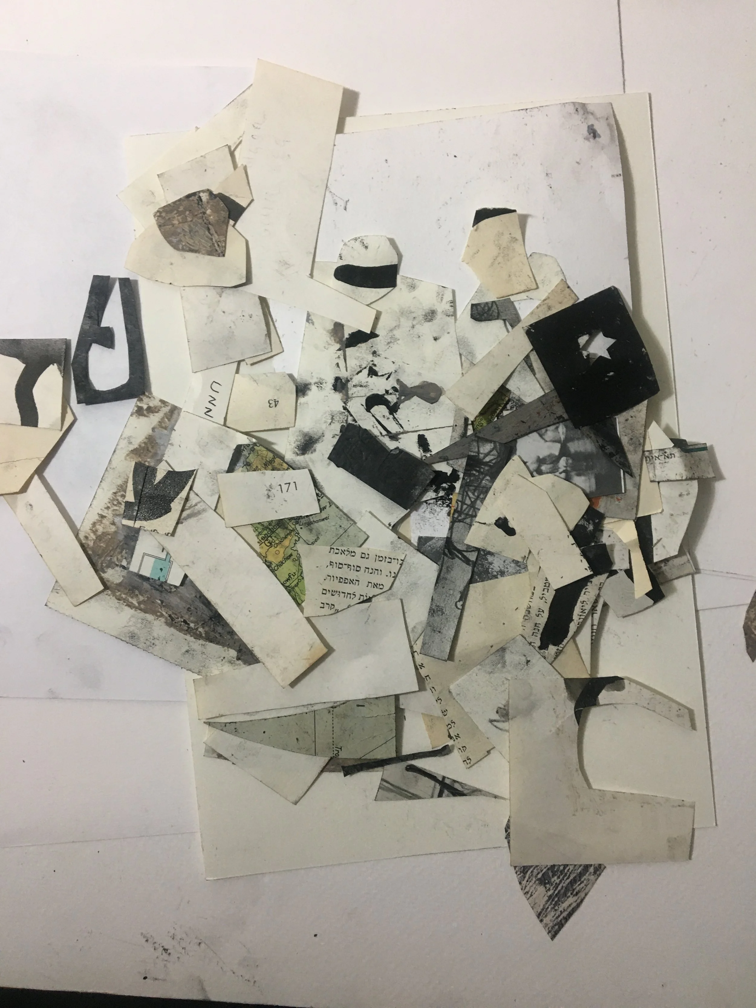 A collection of torn paper scraps with black and white printed text and images, spread out on a white surface.