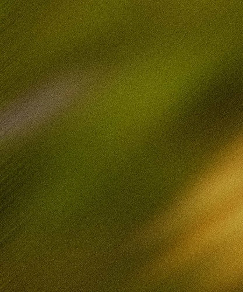 A close-up of a green and yellow leaf.