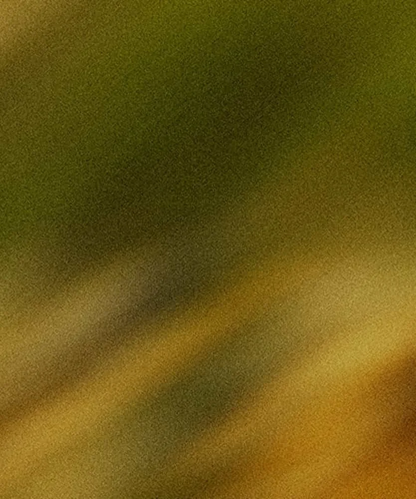 Close-up of  textured, blurry golden-brown leaves, giving a feeling of movement.