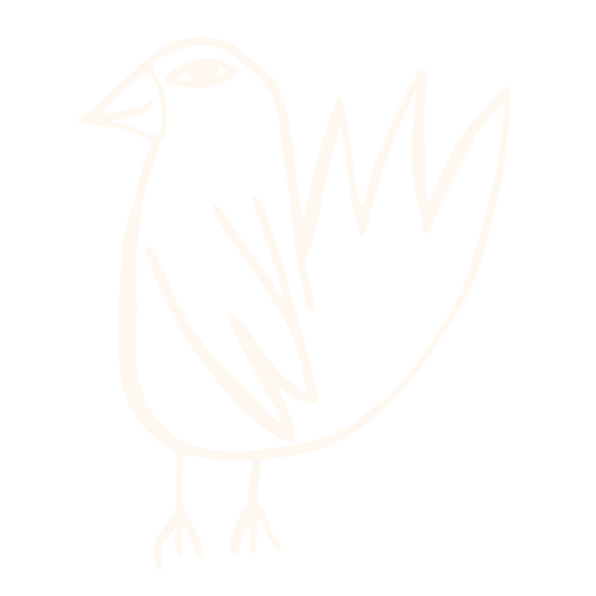 White line drawing of a bird on a black background