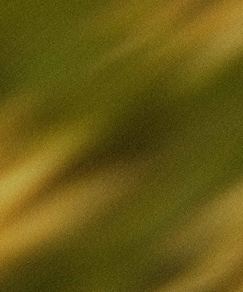 Close-up of  textured, blurry golden-brown leaves, giving a feeling of movement.