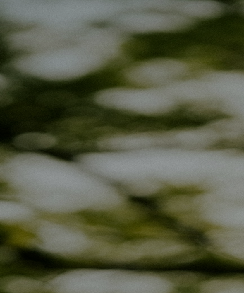 Blurred image with shades of green, white, and gray, resembling out-of-focus scenes with trees or foliage.