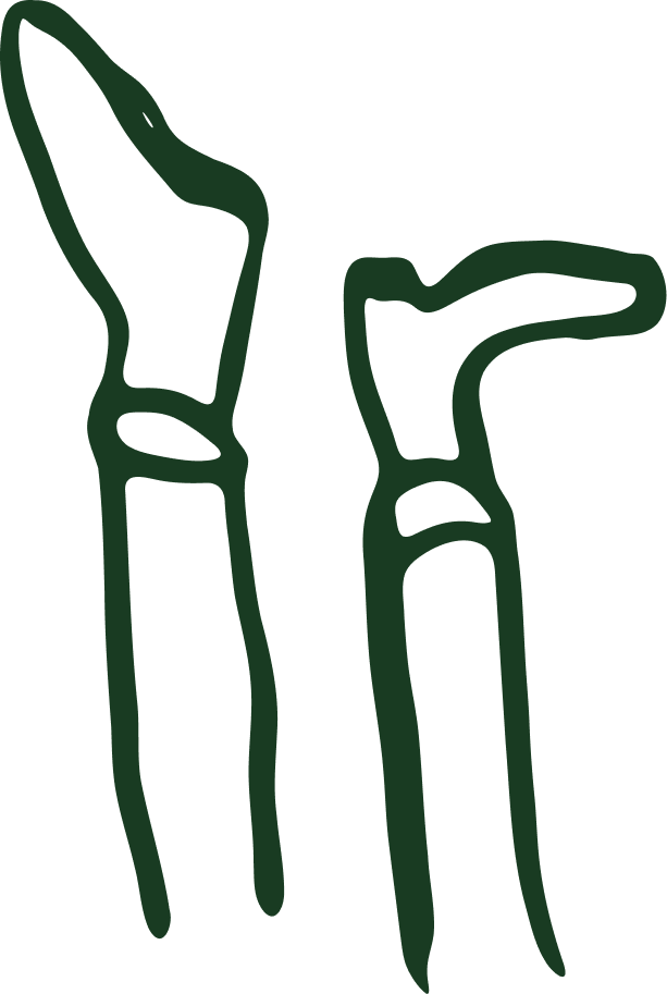 Outline drawing of two feet up in the air.