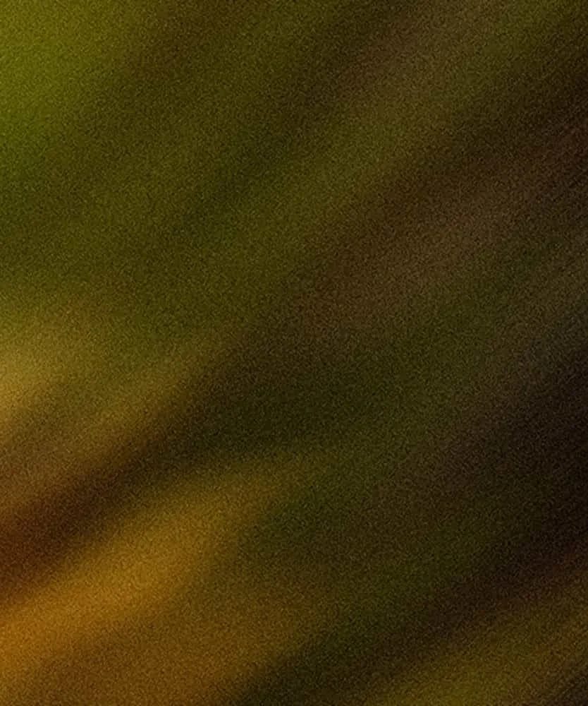 Close-up of  textured, blurry golden-brown leaves, giving a feeling of movement.