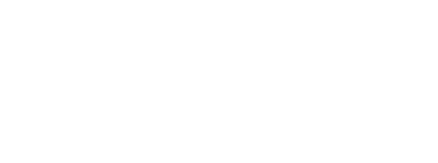 Birmingham Panthers