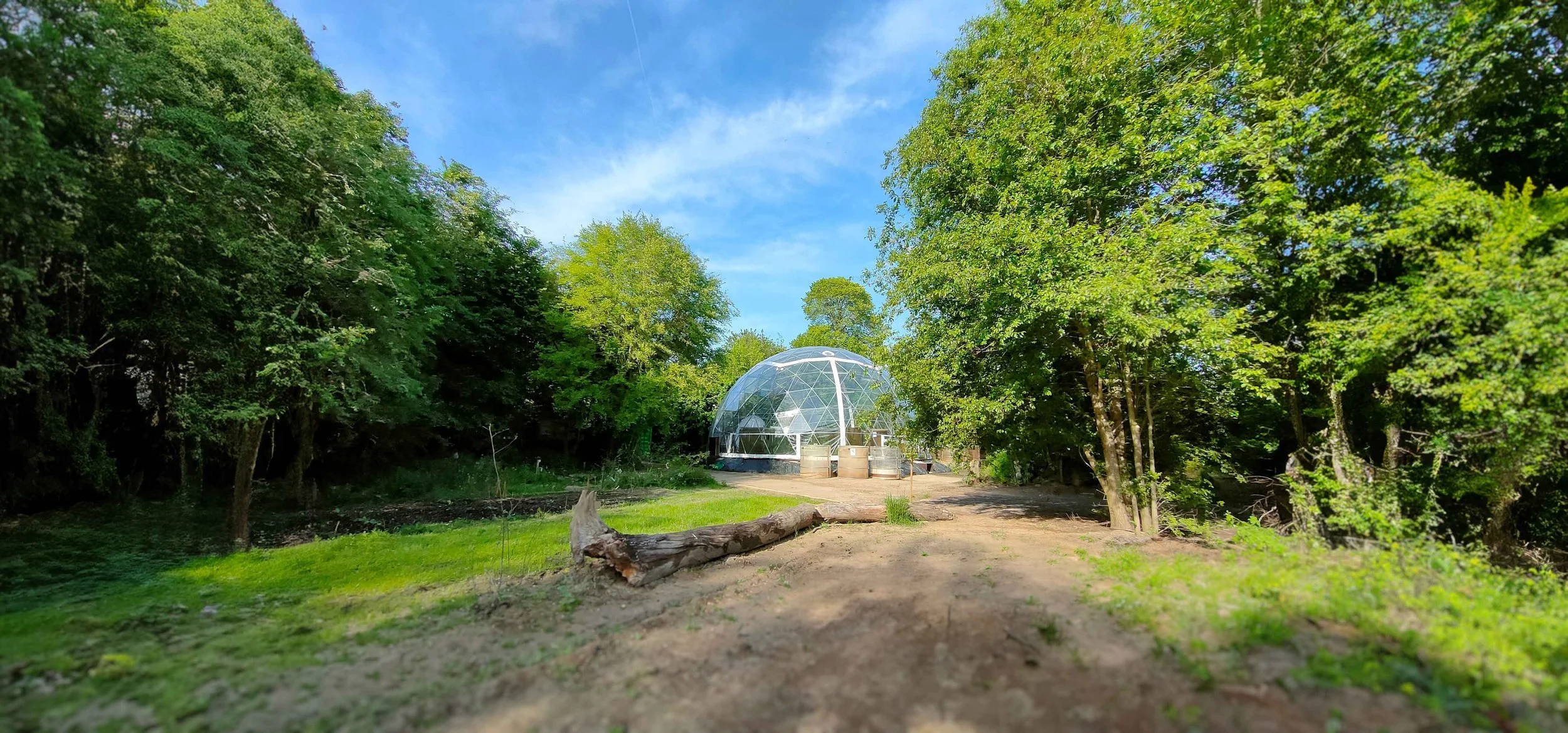 The Eco Oasis where nature and innovation meet