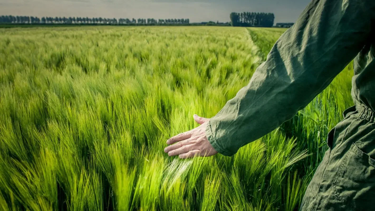 Water’s path to smarter soil