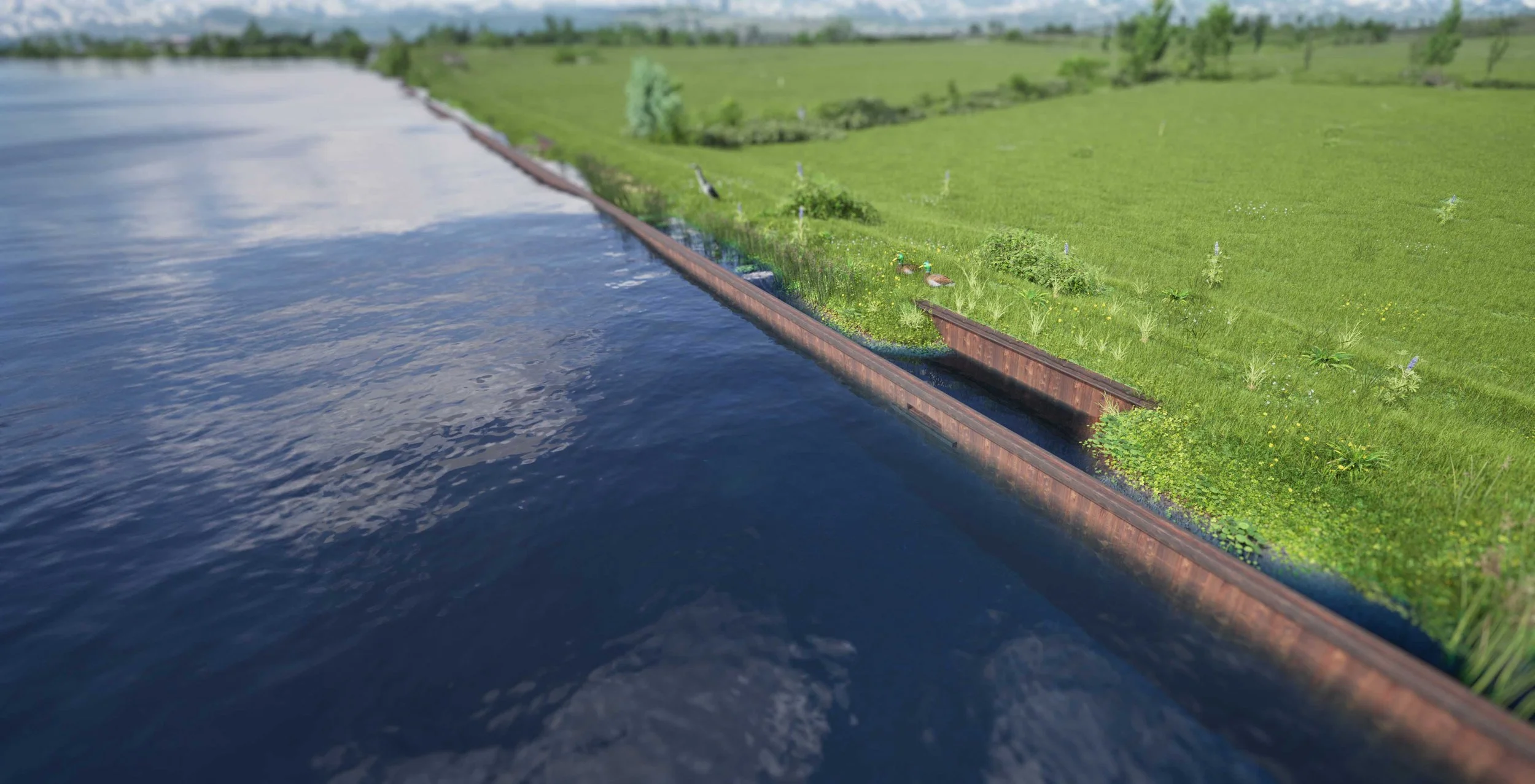 Harnessing wave energy for a thriving shoreline