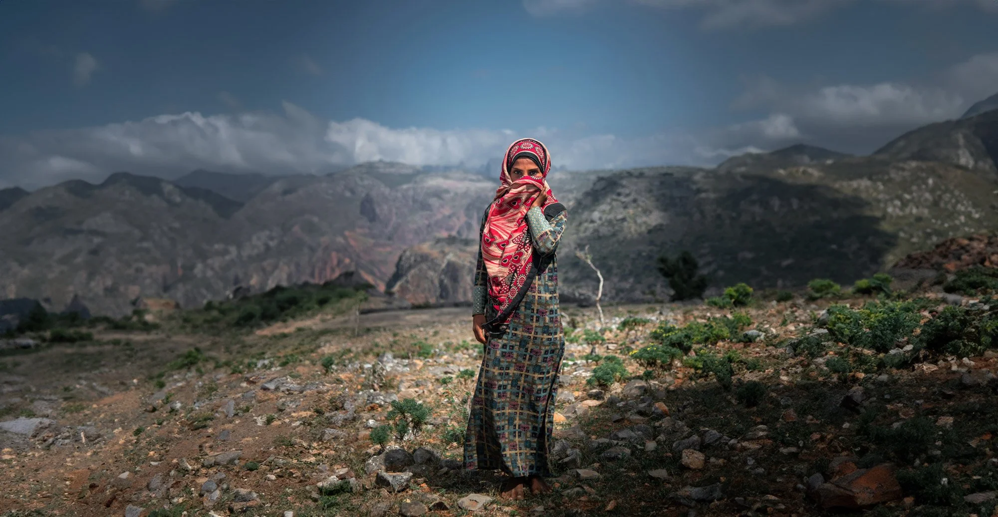 A climate resilience vision for the Middle East