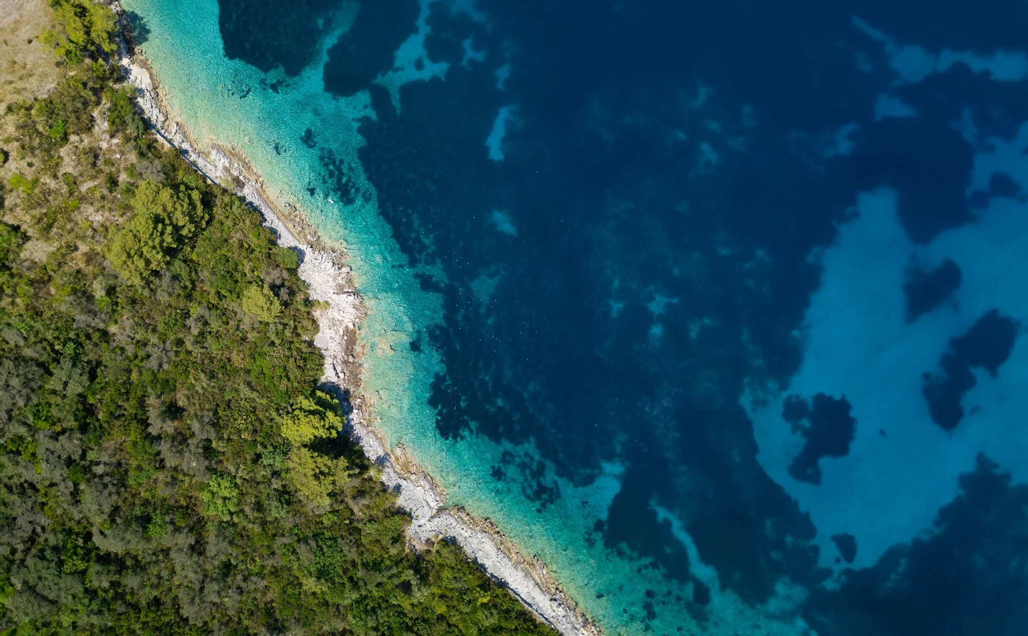 Coastal landscape with dynamic shorelines and tidal patterns, representing The Weather Makers’ nature-based solutions for resilient coastlines facing sea-level rise, erosion, and ecological degradation.