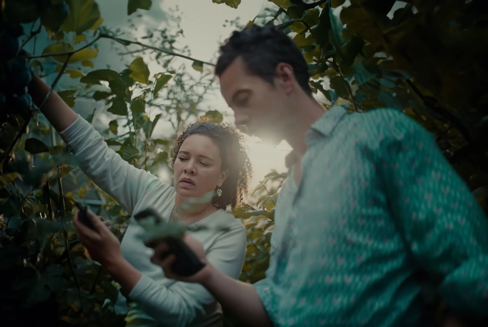 Environmental research visualization featuring natural landscapes and data overlays, representing The Weather Makers’ integration of technology and nature-based strategies to develop sustainable, science-driven climate solutions.