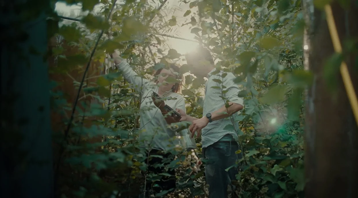 Two people, a woman and a man, exploring a lush green plant area during daytime. The woman is holding a tablet and the man is looking at the plants. Sunlight filters through the leaves.