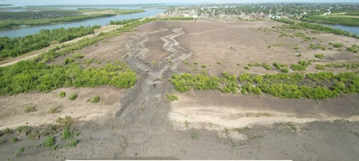 Aerial view of a partially burnt, barren land surrounded by green trees, with a river and small town in the background.