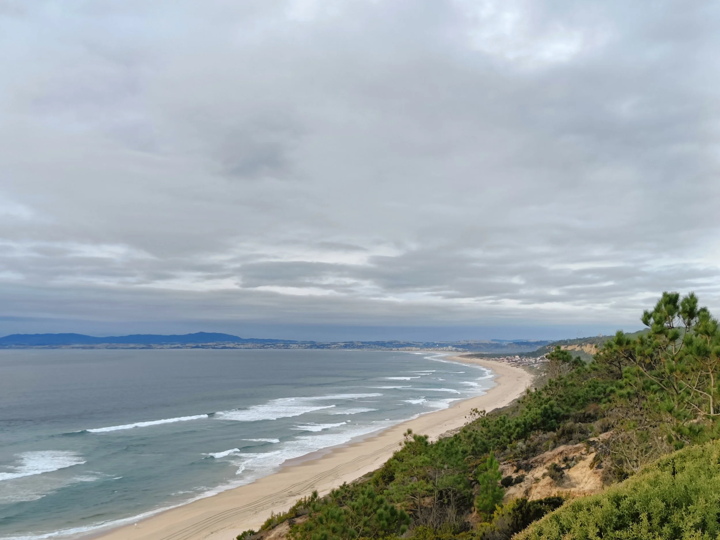 A coastal landscape with a sandy beach, green trees and shrubs, ocean waves, and a cloudy sky.