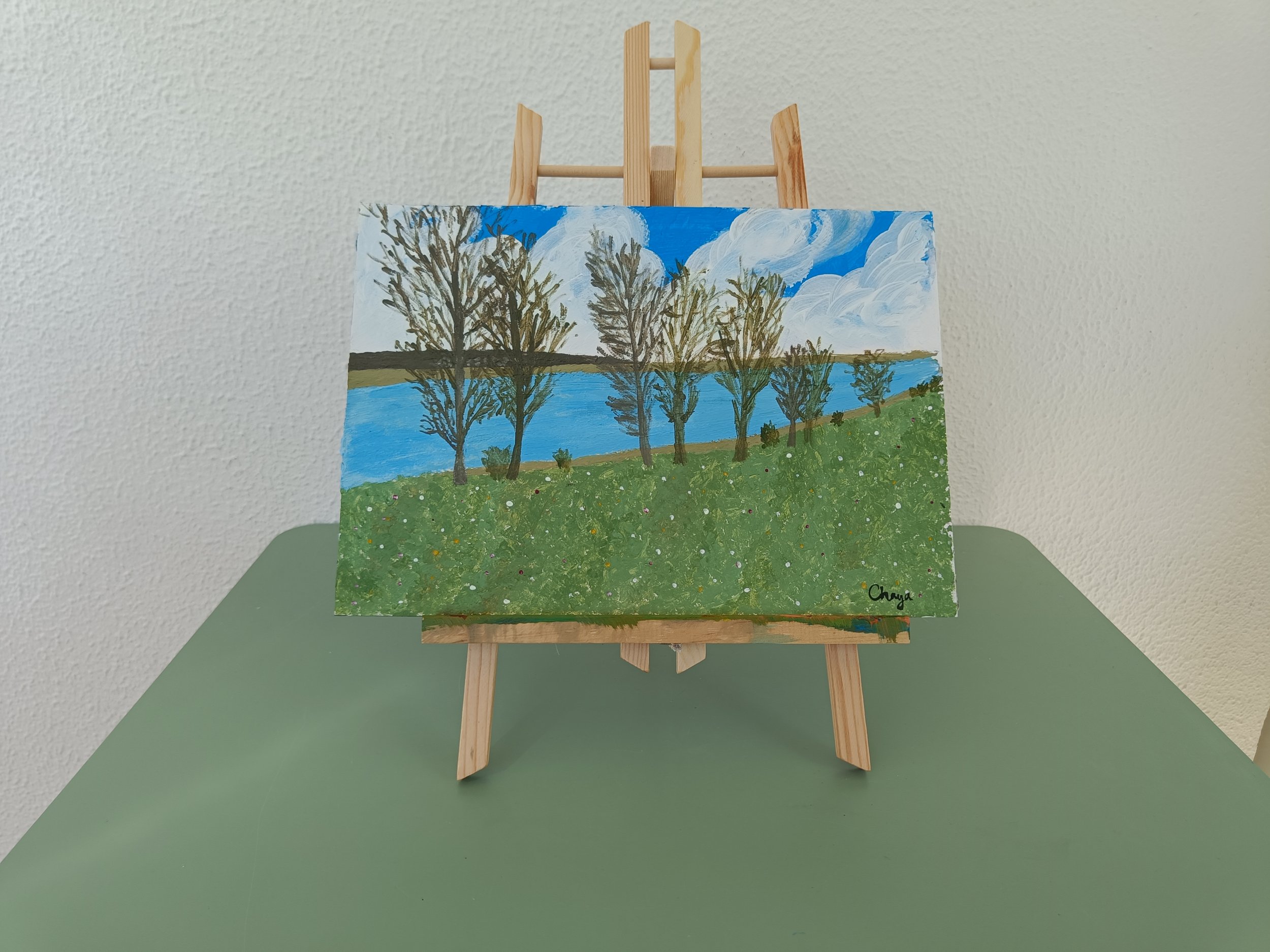 Cycling By the Lake - Original Acrylic Painting