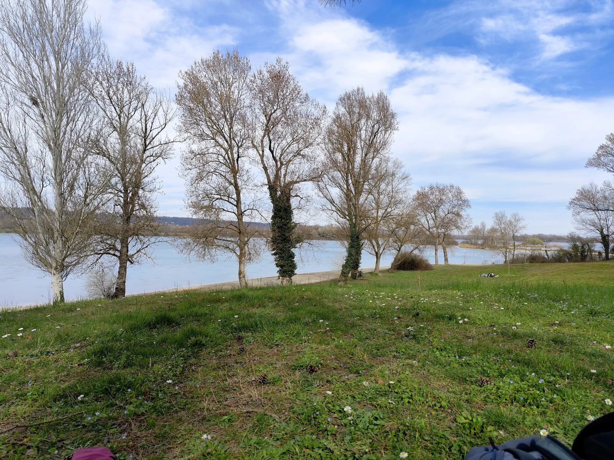 Reference photograph of a lakeside scene with leafless trees, green grass, and water, used as visual inspiration for Chaya’s painting “Biking by the Lake.”