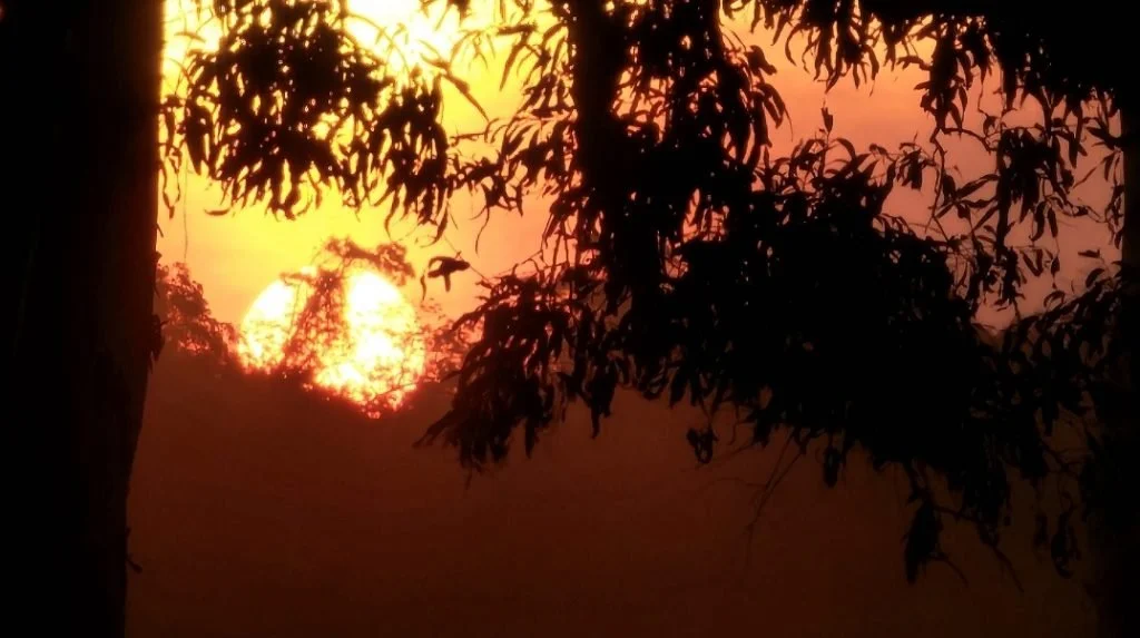 Darrba consultation meeting