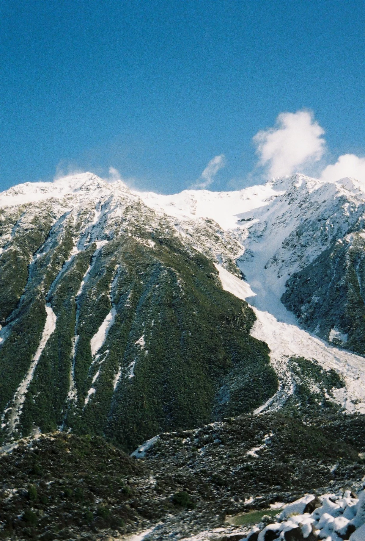 NZ-33mm_RubyIngra_003.JPG