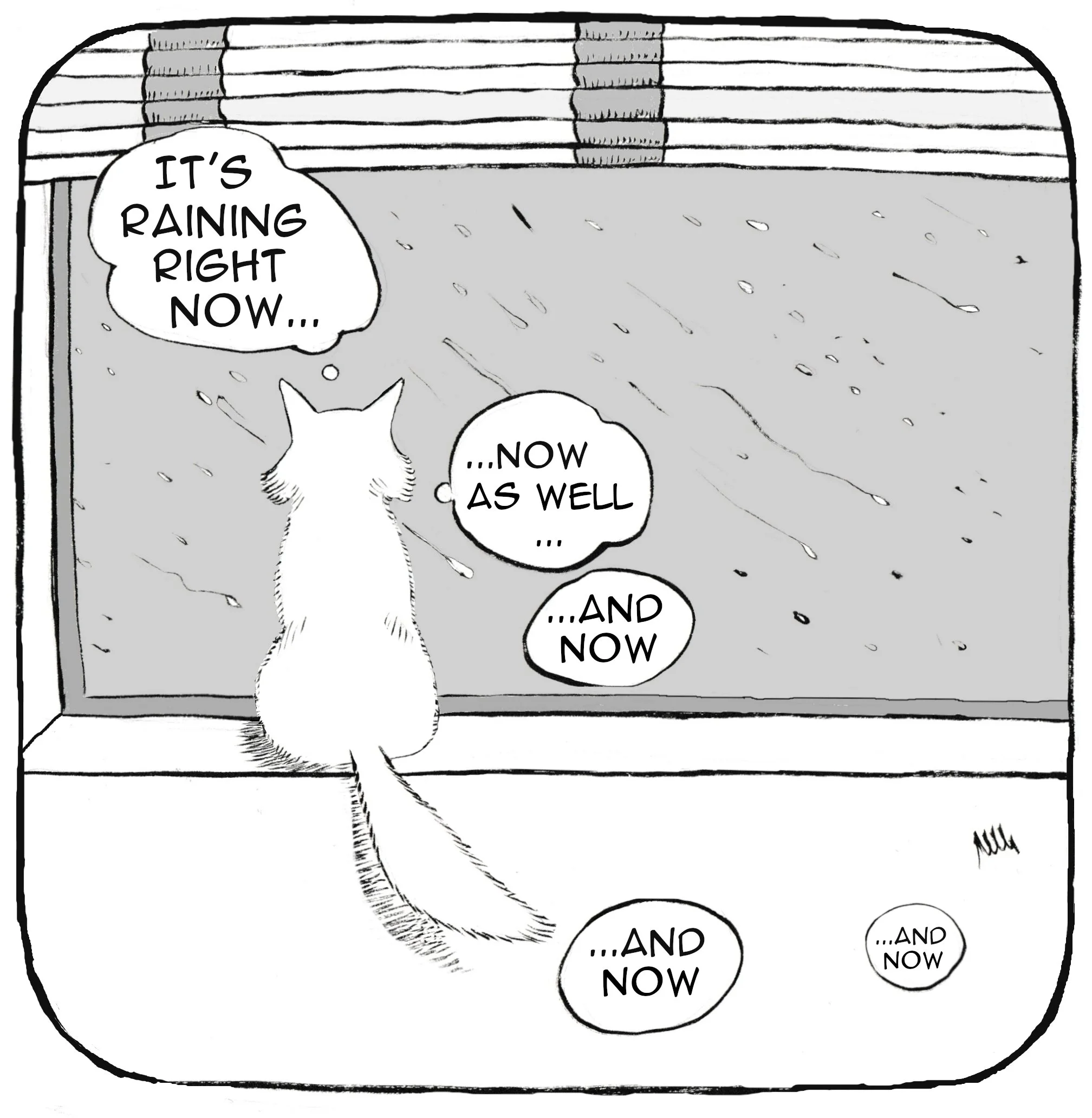 The unsuspecting zen of cats