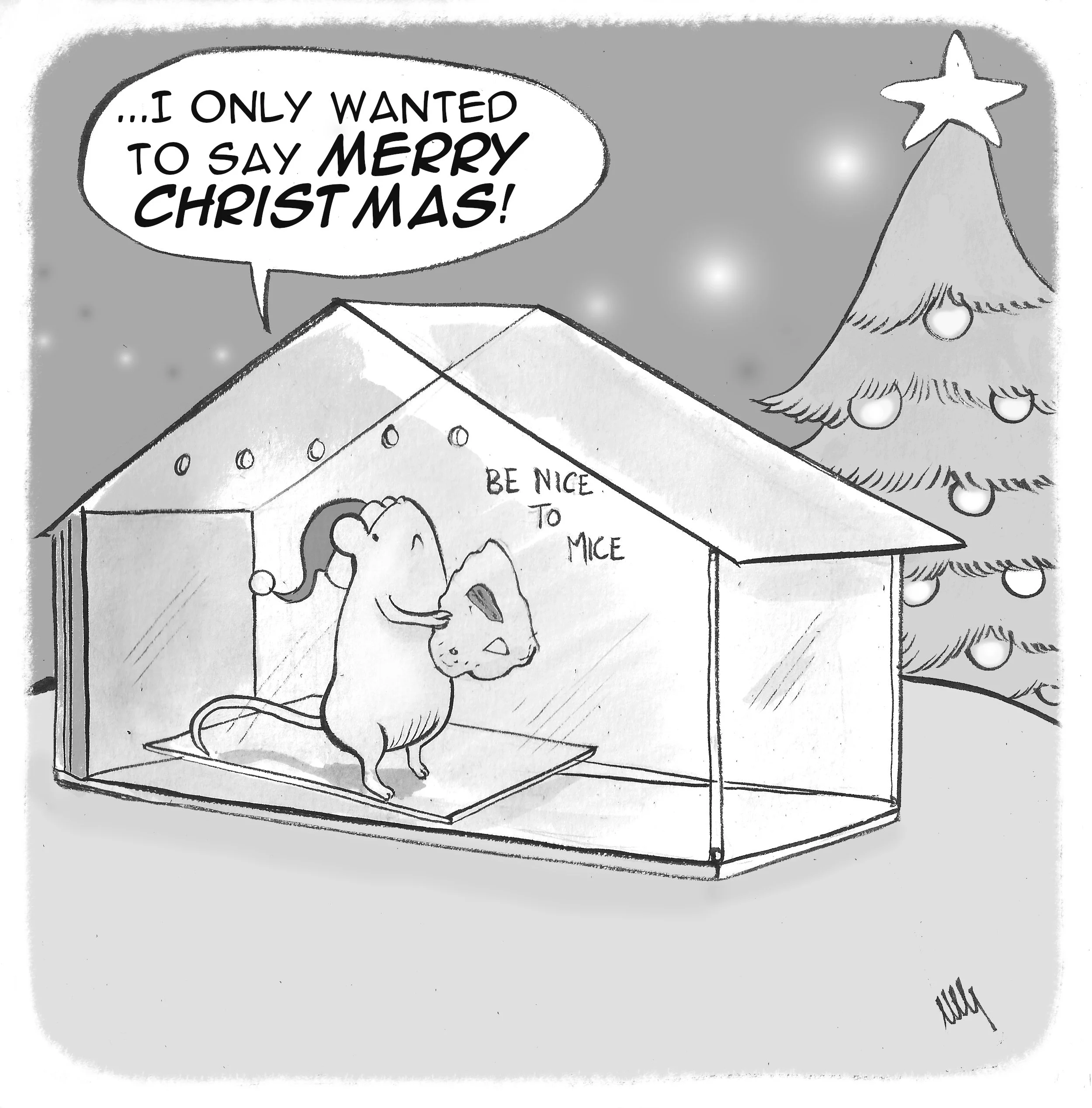 A CHRISTMAS TALE