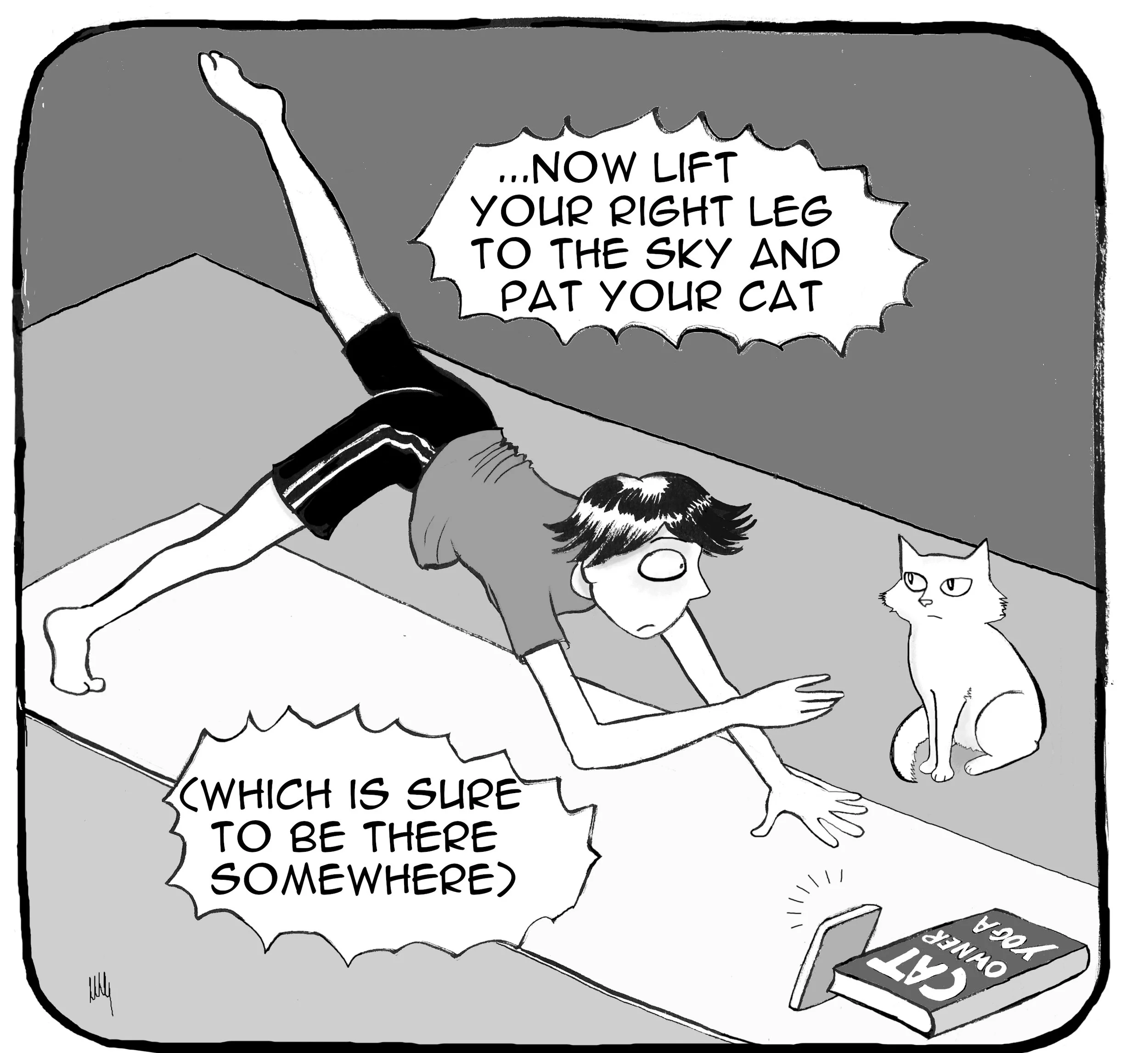 YOGA FOR CAT OWNERS