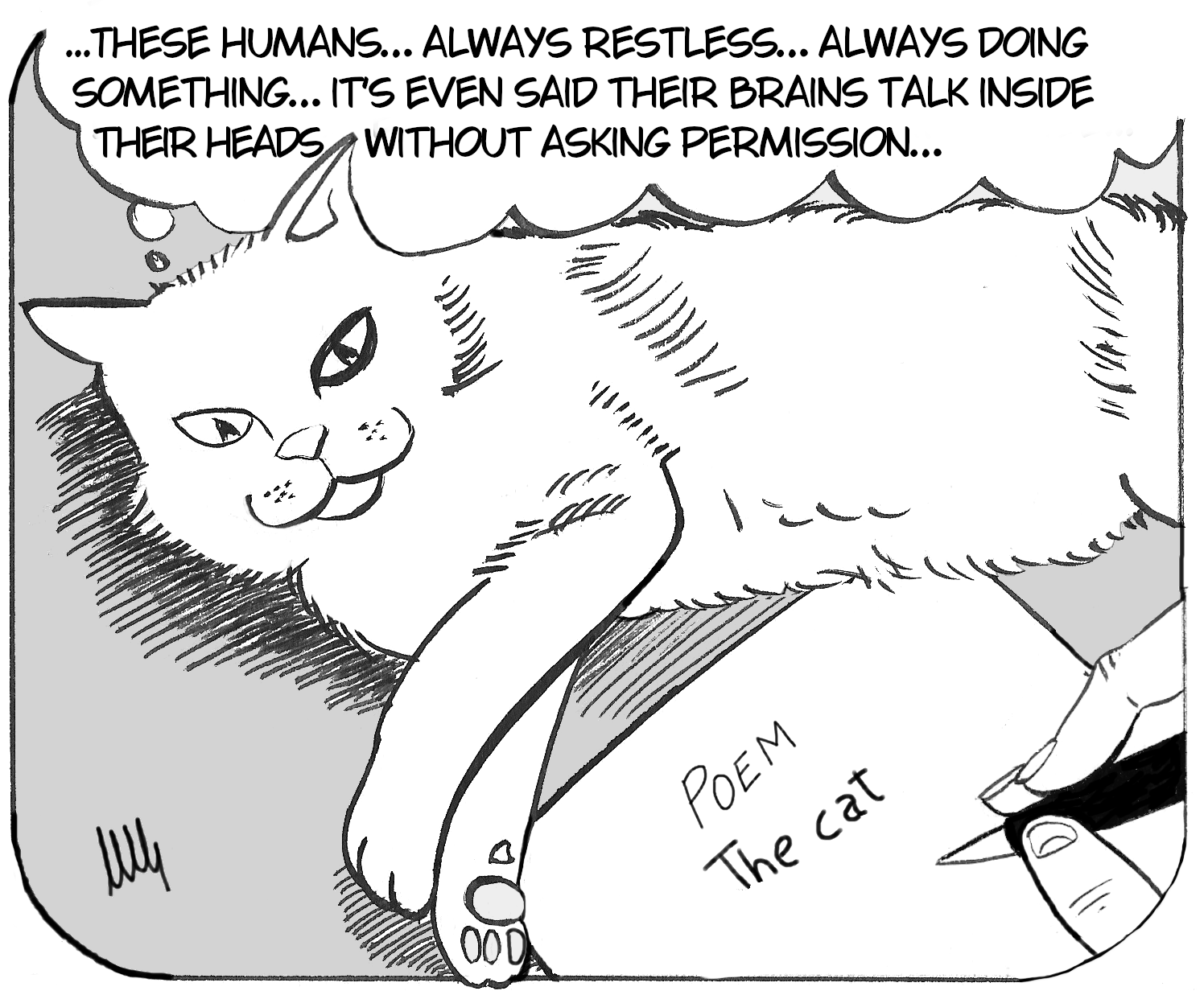 What Does My Cat Really Think of Me?