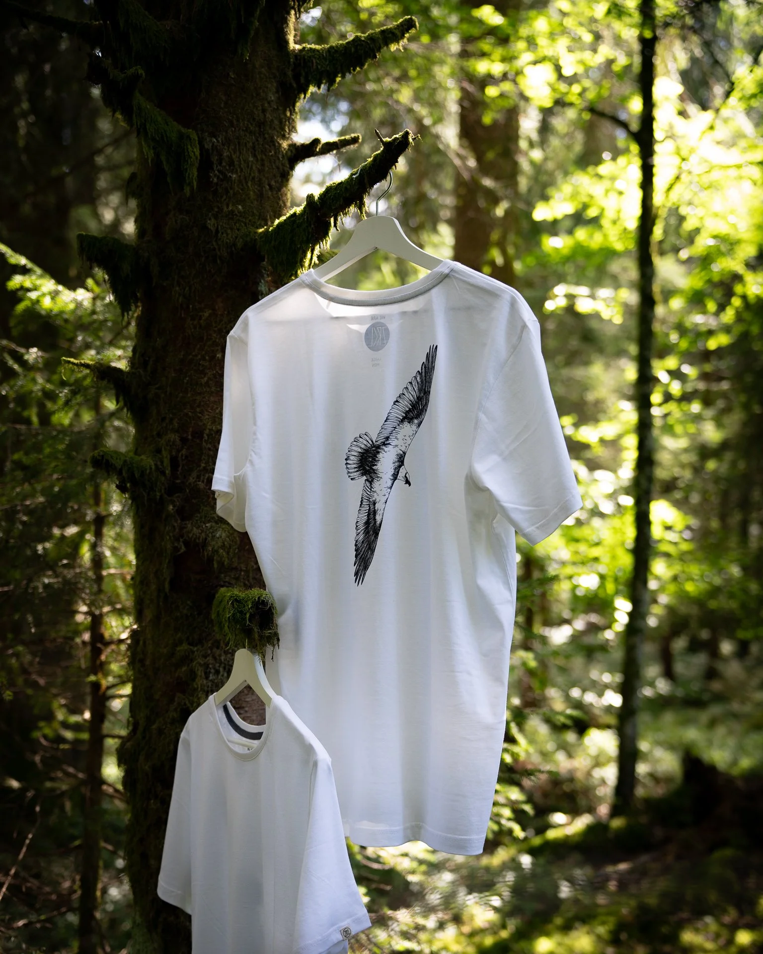 Bearded Vulture Backprint