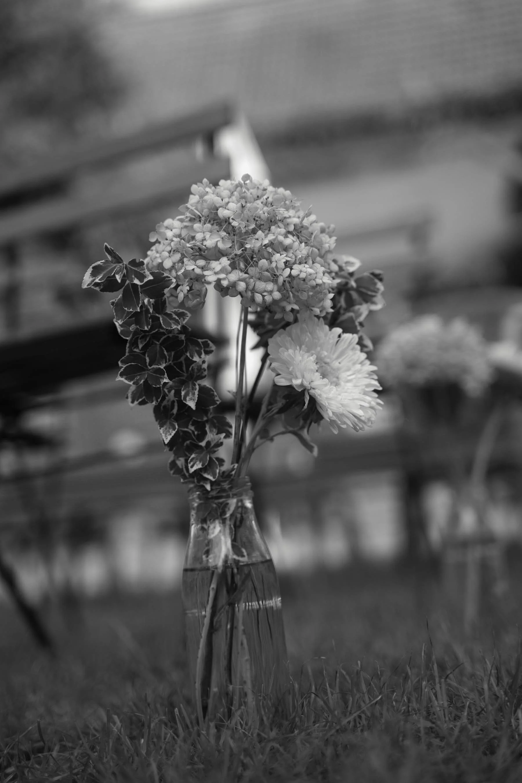 A glass vase with a small bouquet of flowers, including hydrangeas and daisies, placed on a grassy surface outdoors.