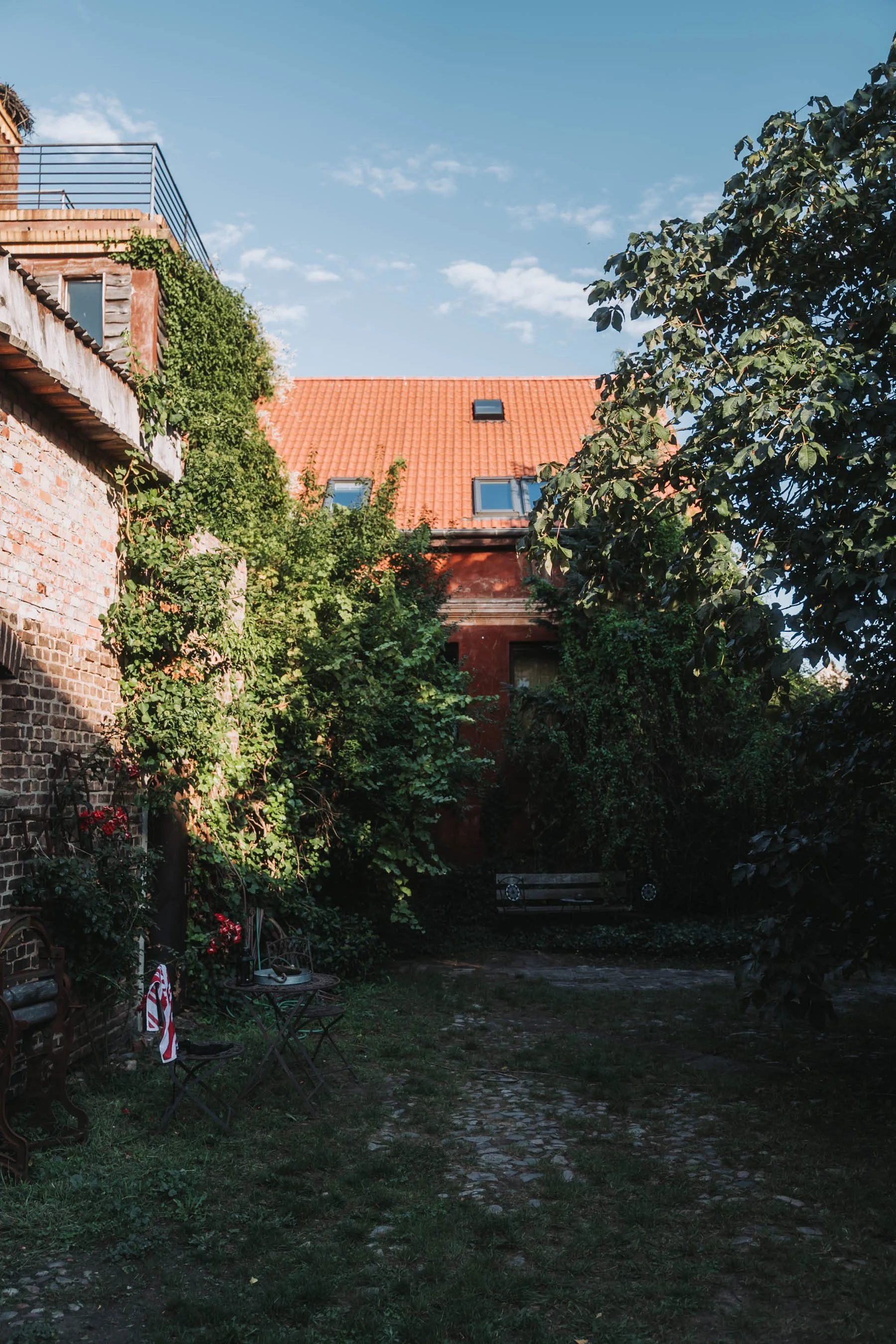 A backyard with a cobblestone path, a bench, and various plants and trees. A brick building with a red-tiled roof and skylights is visible in the background, under a blue sky with some clouds.