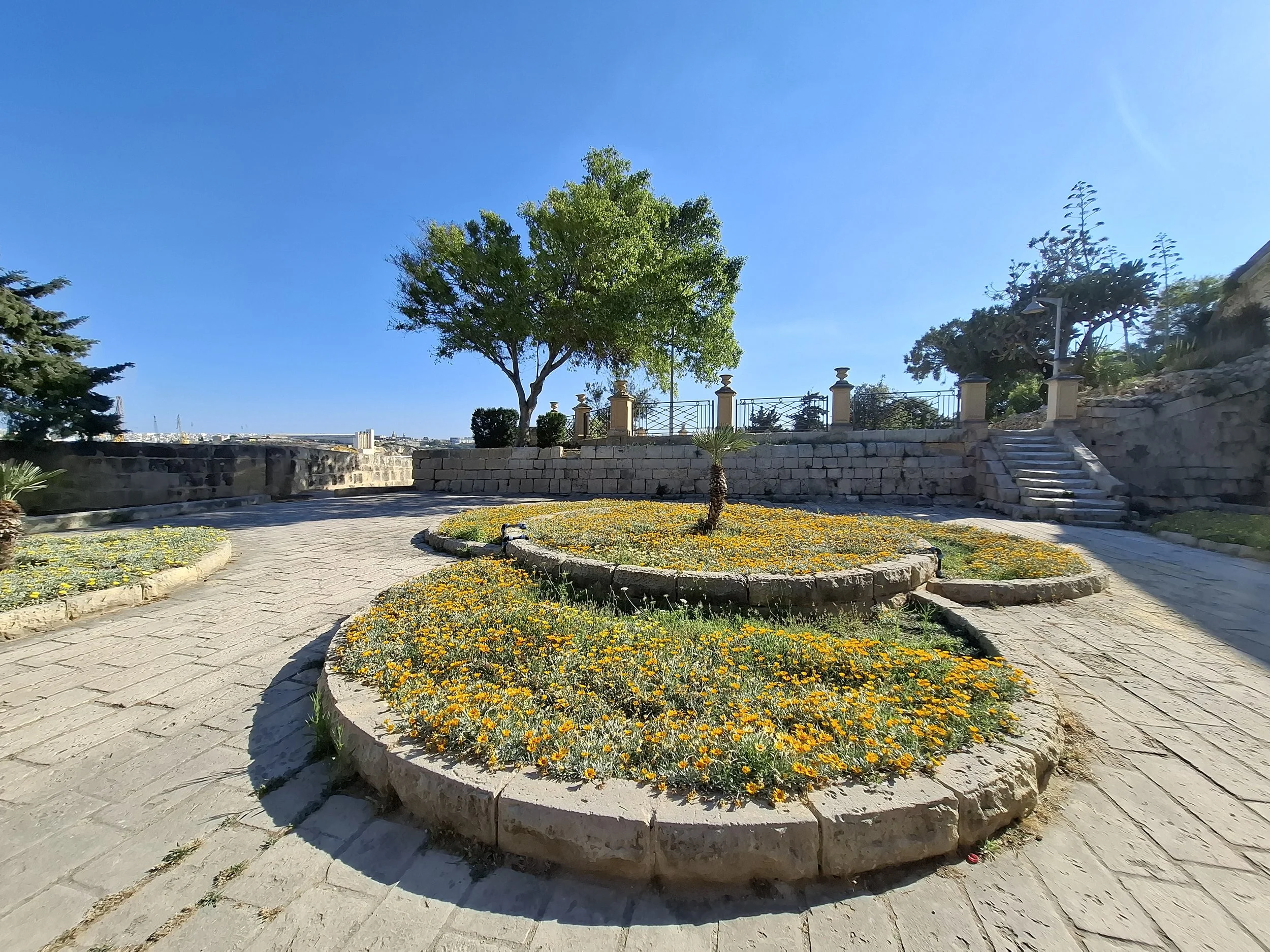 Circle of flowers.jpg