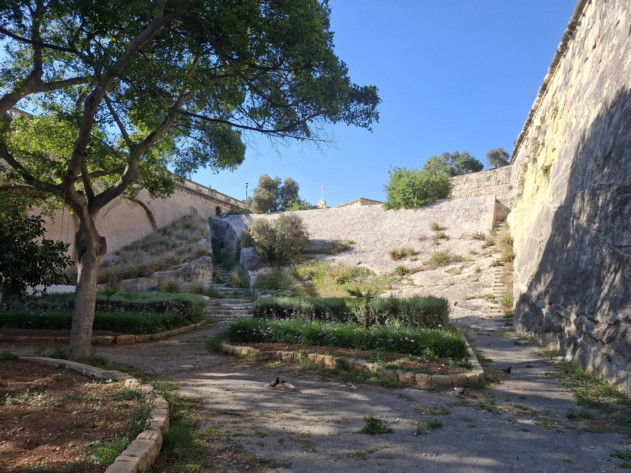 Stairs to Nowhere.jpg