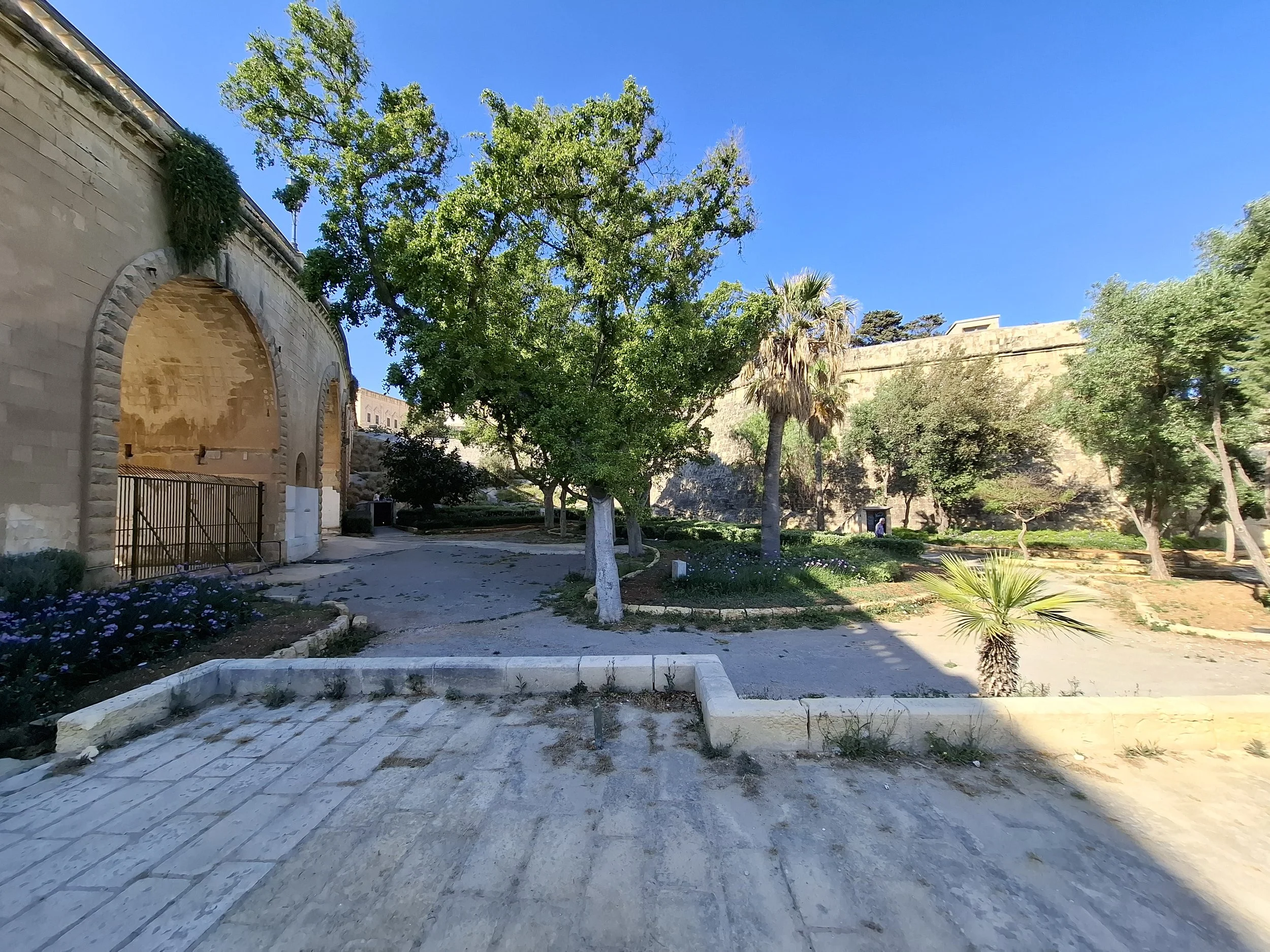 Tree and arch.jpg