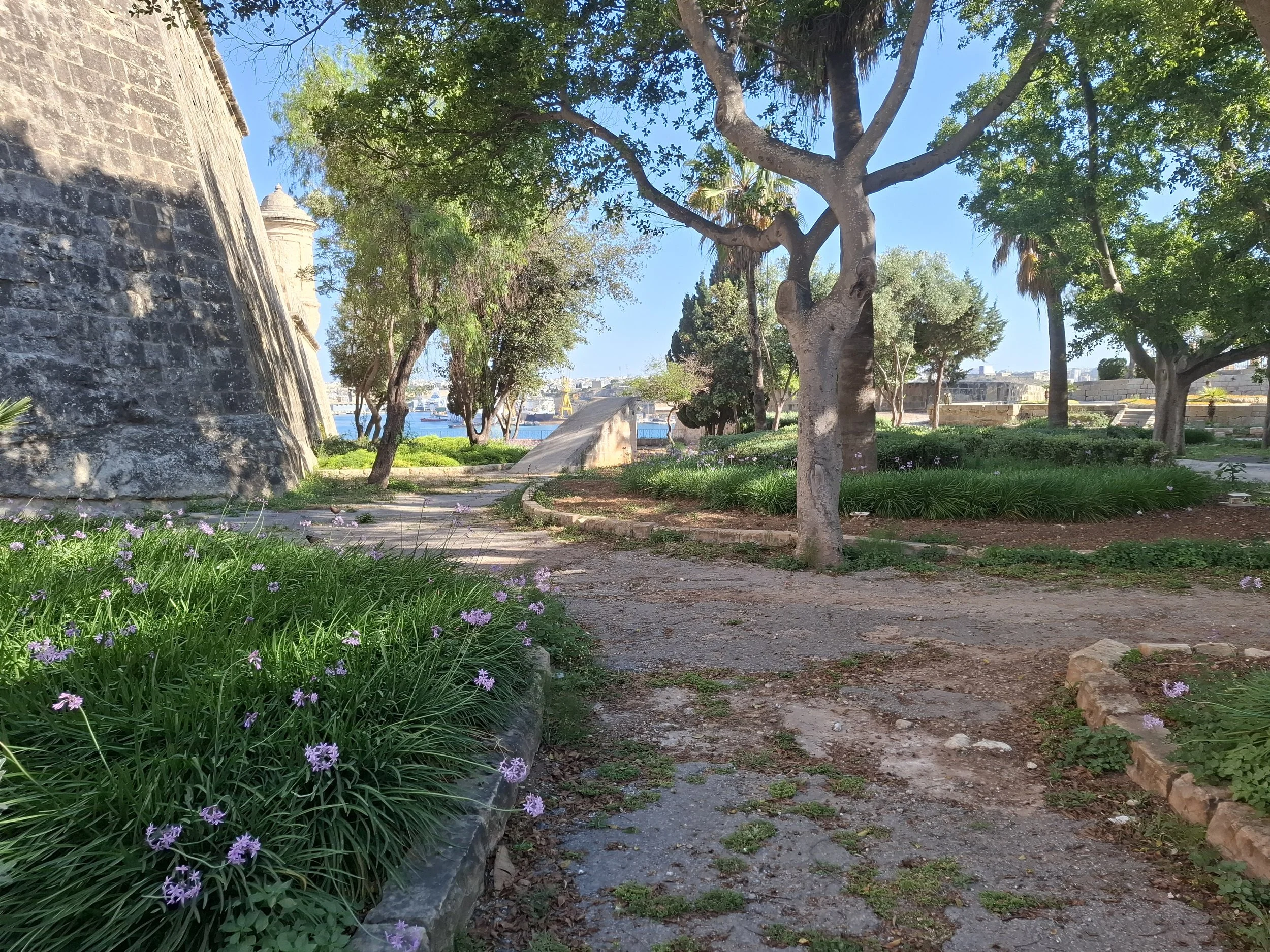Trees light flowers landscape.jpg