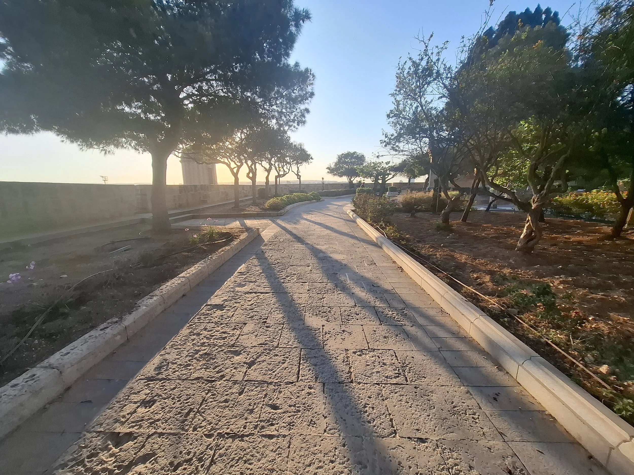 Long shadows on path.jpg