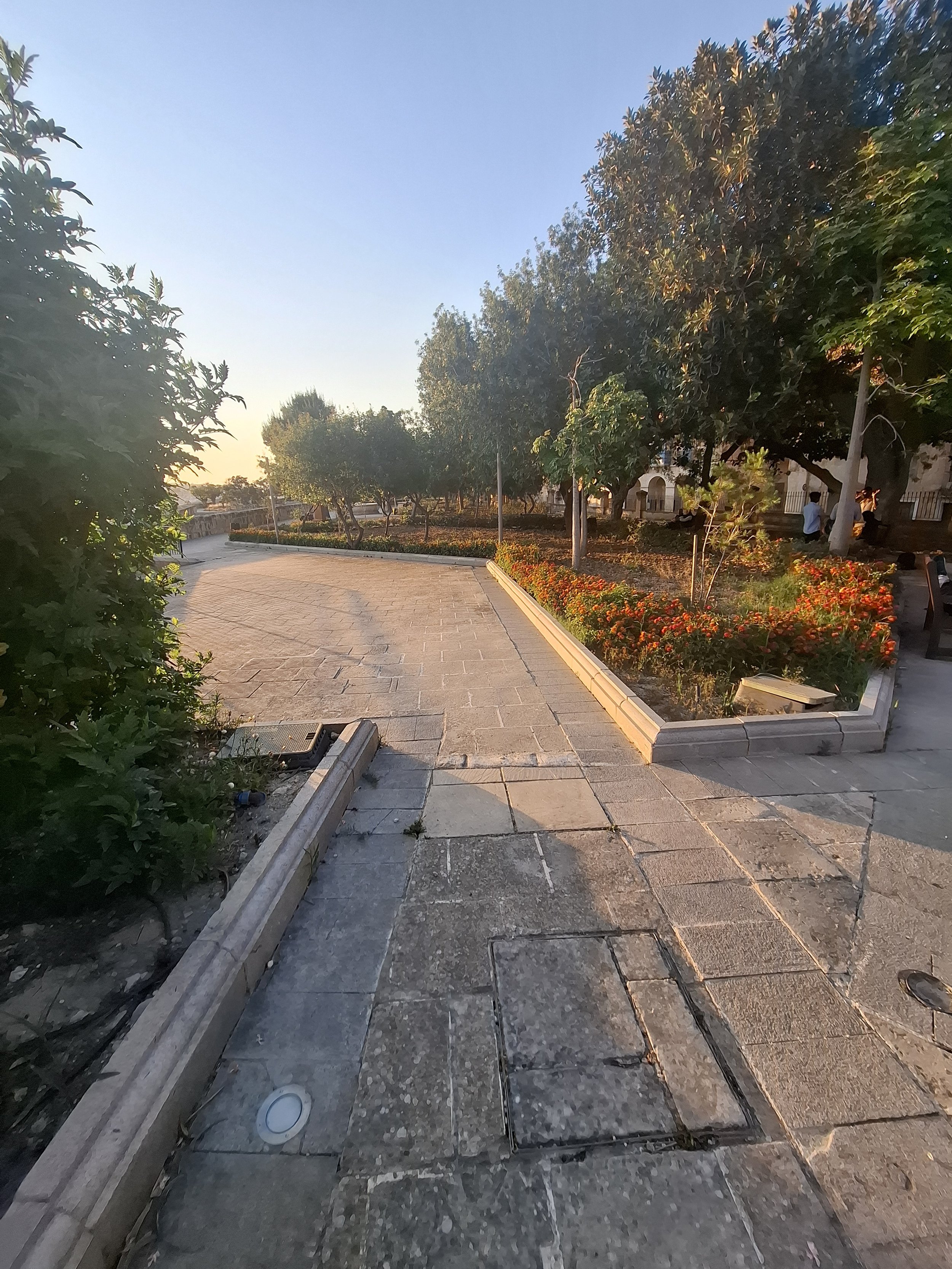 Red flowers path.jpg