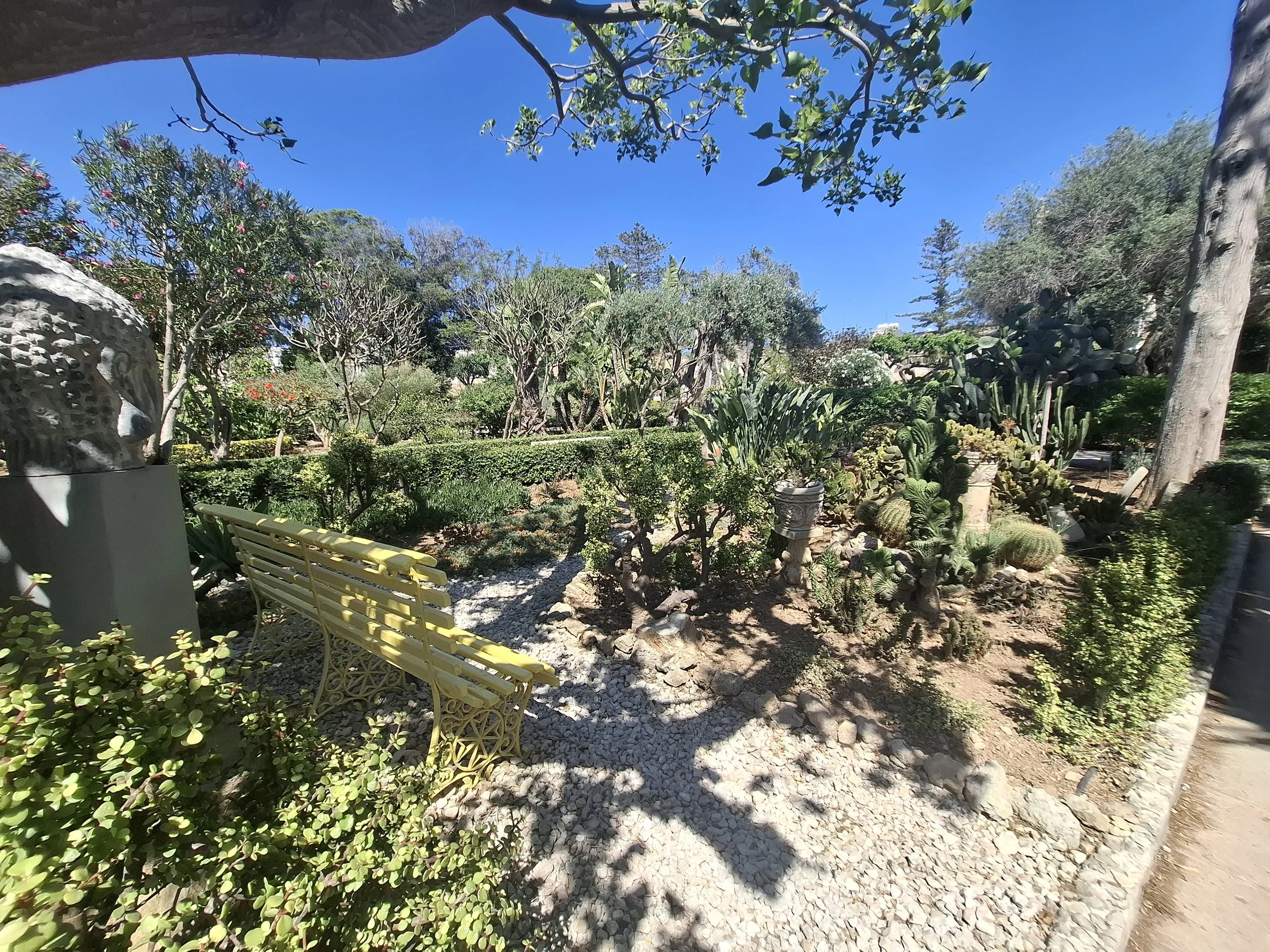 Bench in cactus garden.jpg