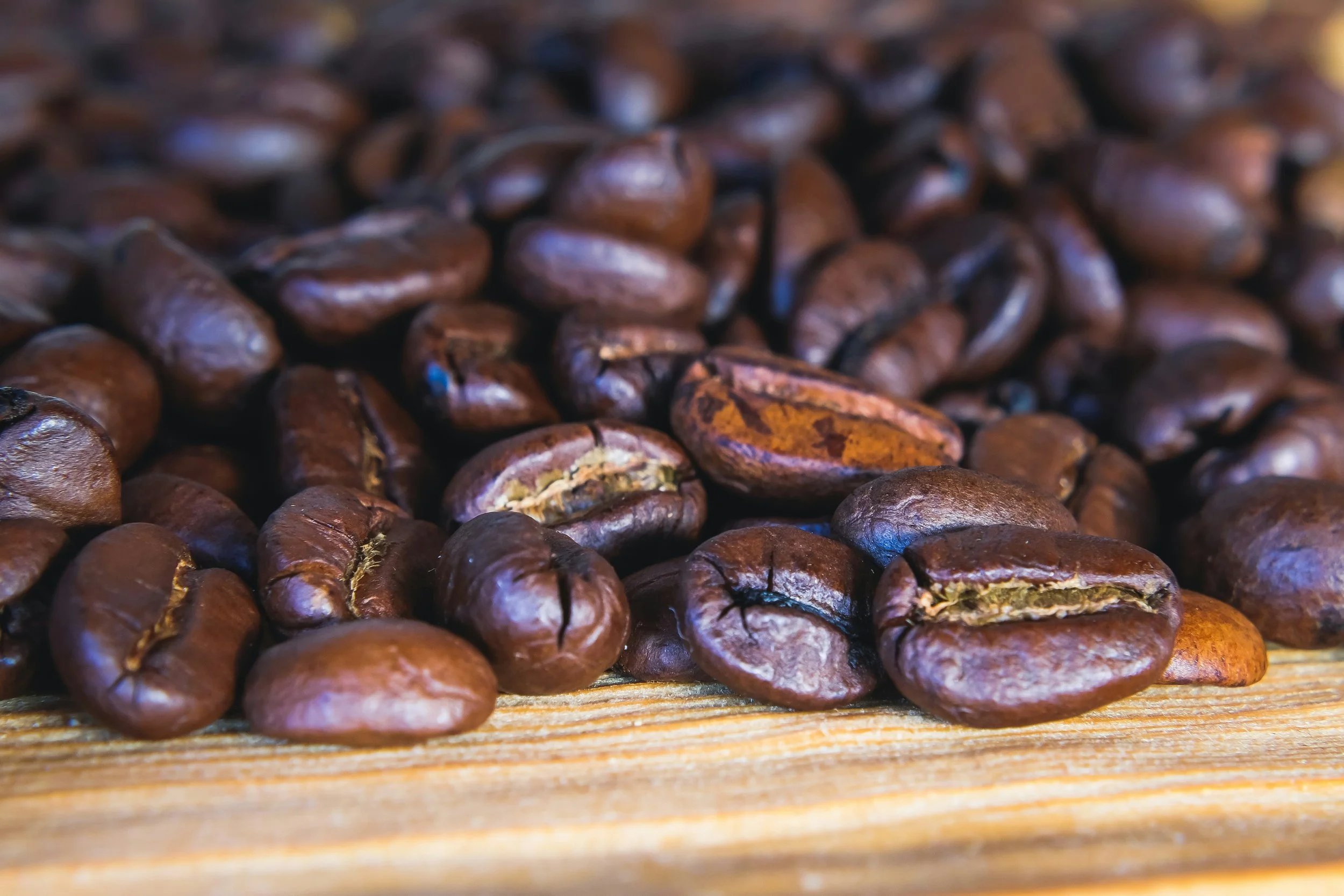 Arabica of Robusta: welke koffieboon past het beste bij uw smaak?