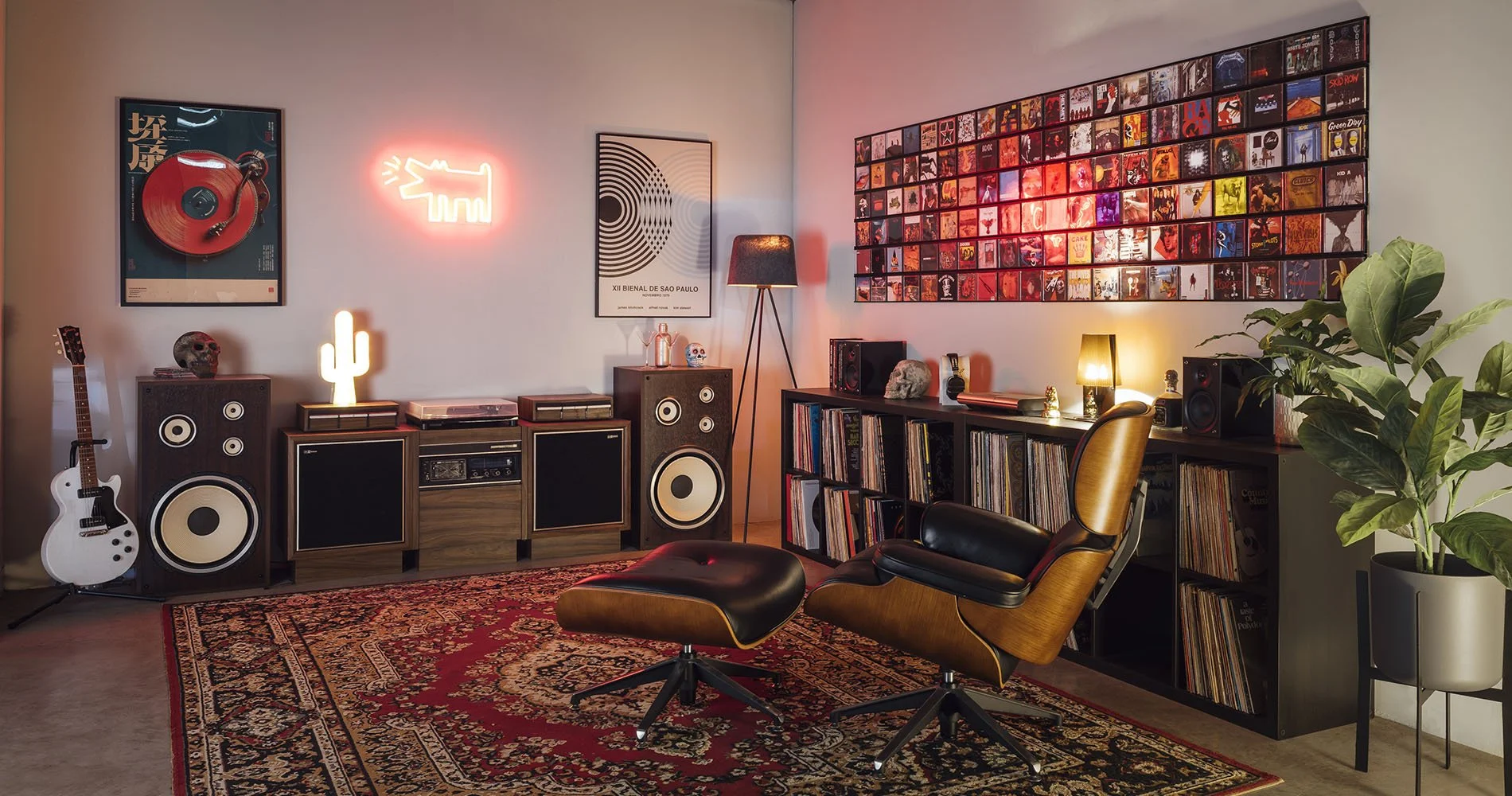 forward facing cd wall storage display