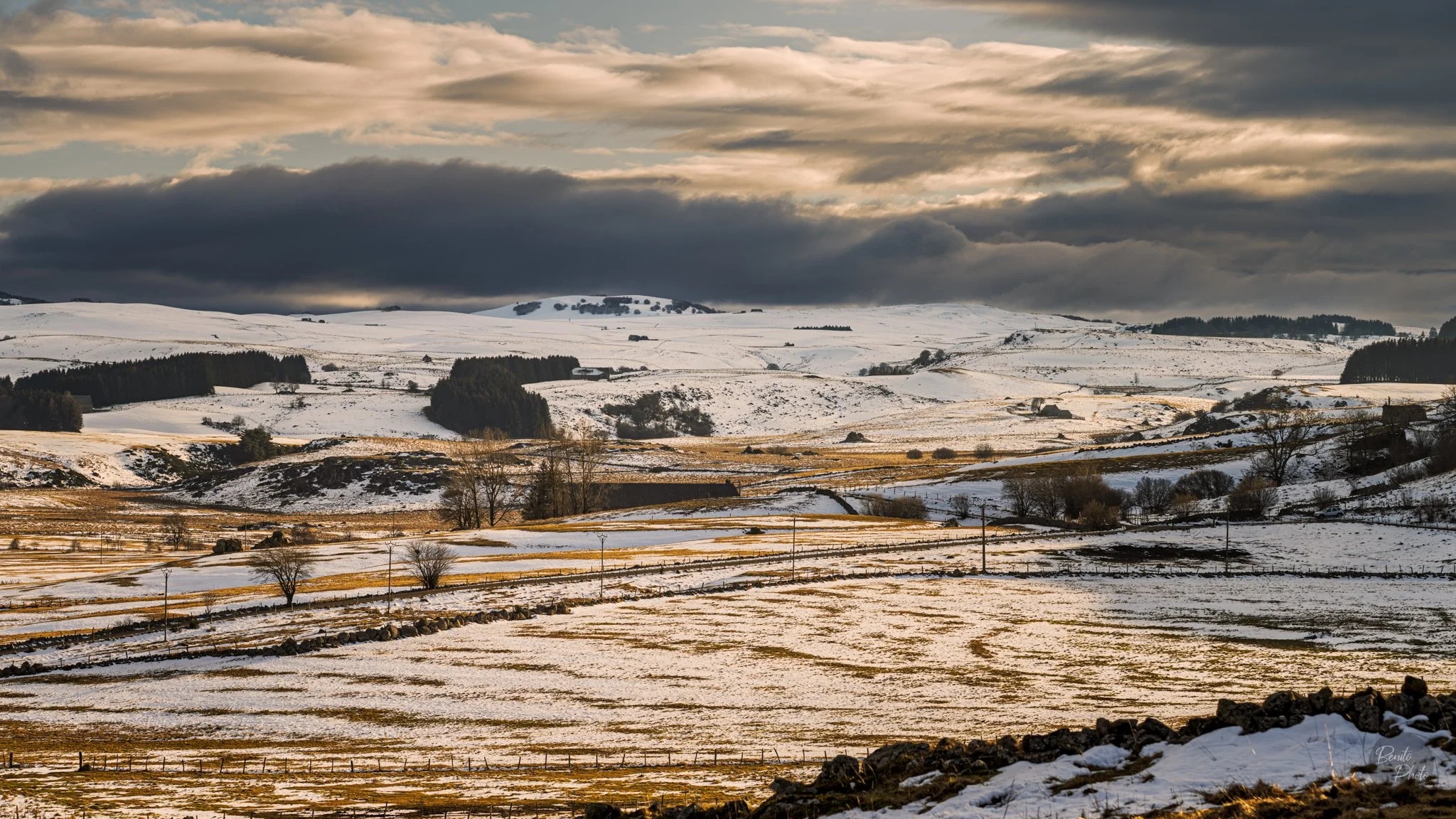 Aubrac
