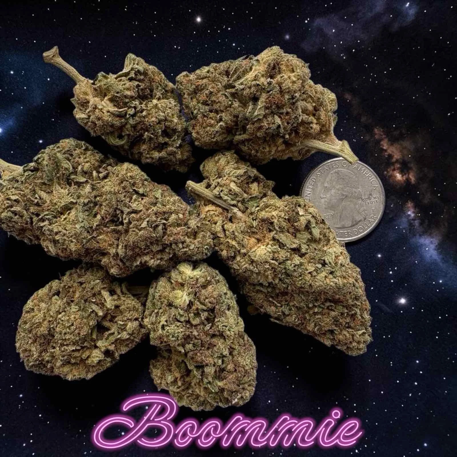 Boomie Premium Exotic Cannabis Strain