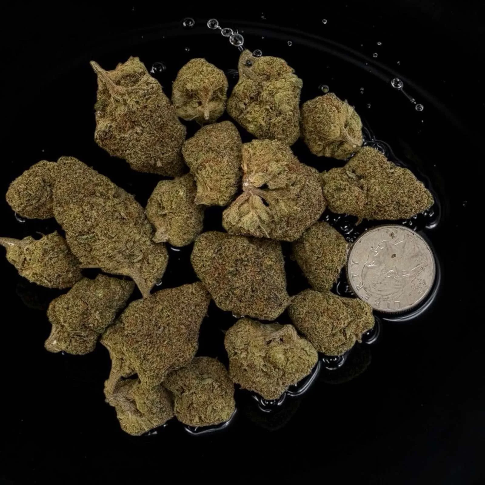 Gary Payton Premium Celebrity Cannabis Strain