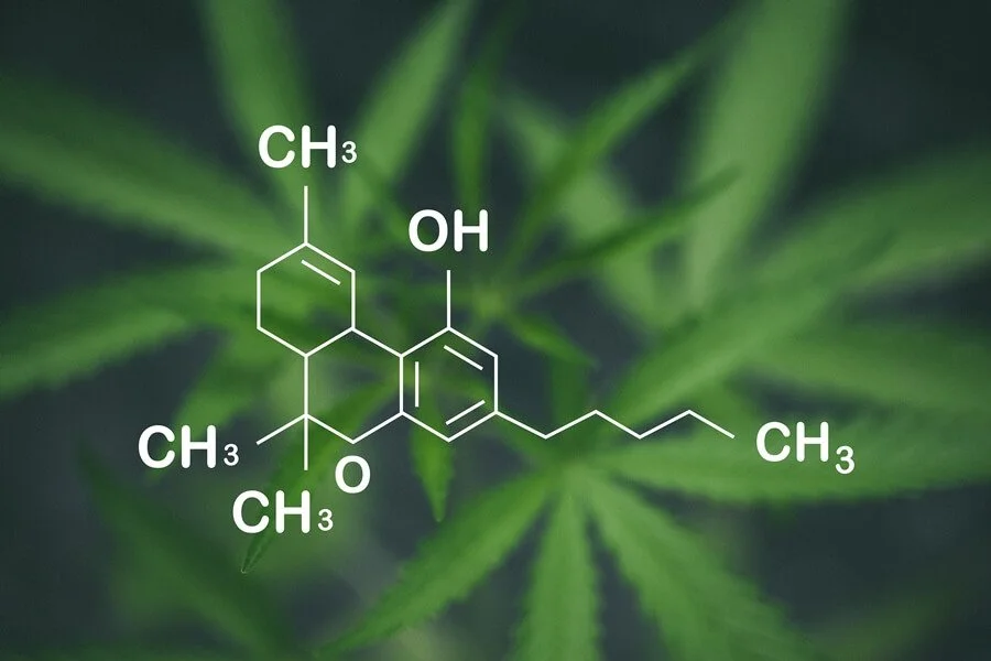 What Do We Know About THC?